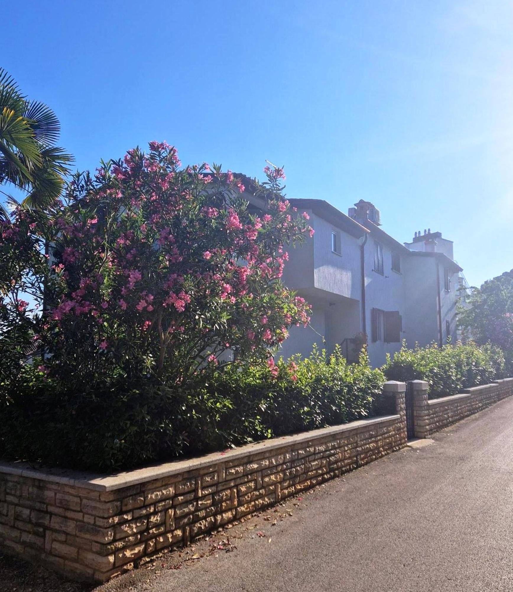 Molo View Apartment Rovinj Exterior photo